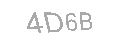 Güvenlik Kodu