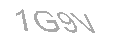 Güvenlik Kodu