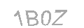 Güvenlik Kodu