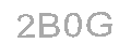 Güvenlik Kodu