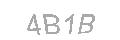 Güvenlik Kodu