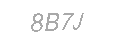 Güvenlik Kodu