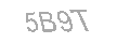 Güvenlik Kodu