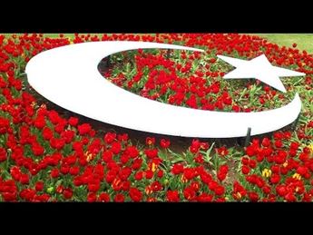 Alsancak Sürücü Kursu